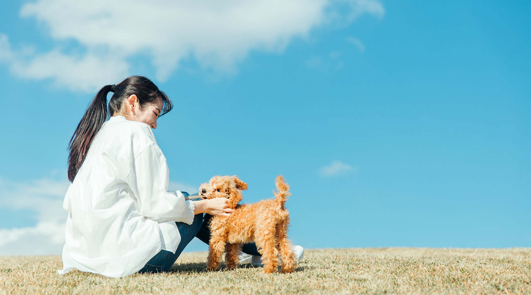 ずっとある優しい安心